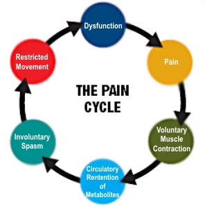 Treatment for Disc Prolapse or PIVD | ReLiva Physiotherapy