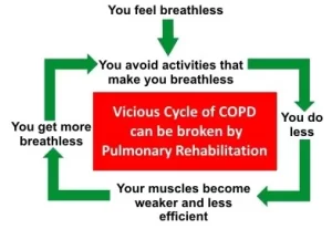 COPD20cycle