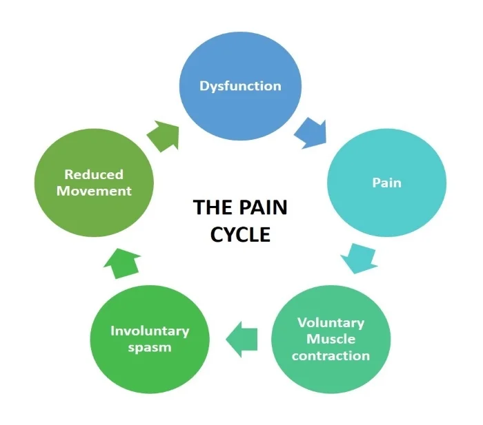 The Pain Cycle