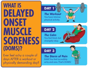 what is DOMS infograph